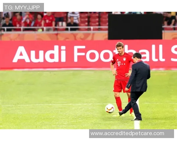 世界杯激情对决葡萄牙与摩洛哥的巅峰对决即将开启