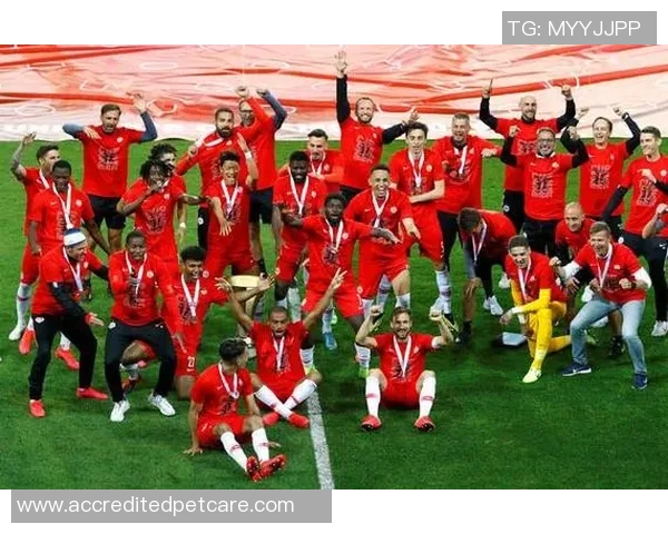 奥地利路斯登洛与林茨蓝白的精彩对决分析与赛季展望