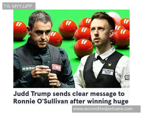 巡回锦标赛决赛精彩对决奥沙利文与特鲁姆的巅峰之战