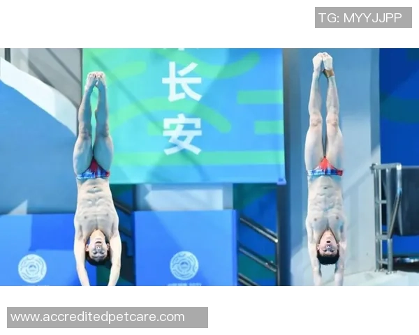 全运会｜沉溺式揭秘新华社记者怎么出图·跳水篇