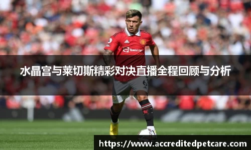 水晶宫与莱切斯精彩对决直播全程回顾与分析